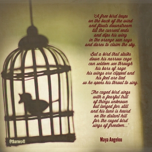 Caged Bird Poem excerpt